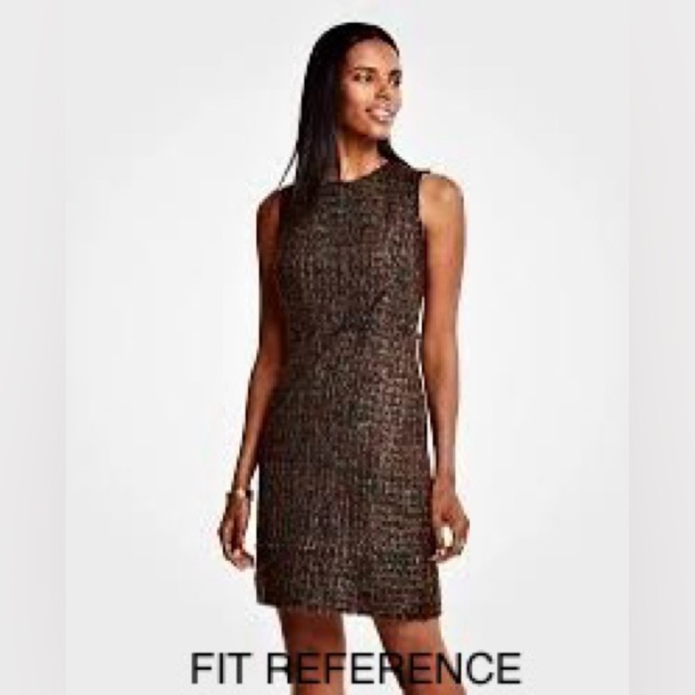 ANN TAYLOR | NEW Women’s 8 Brown Tweed Fringe Sleeveless Dress Multicolor